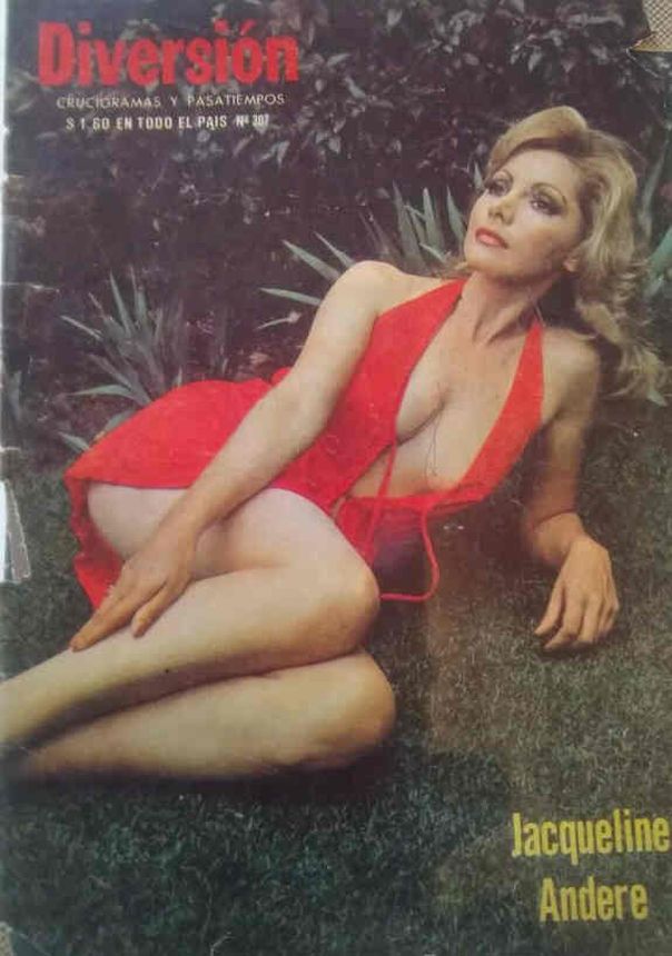 DIVERSION magazine cover   1980