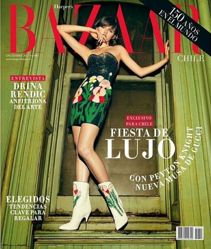HARPERS BAZAAR CHILE magazine cover  December 2017